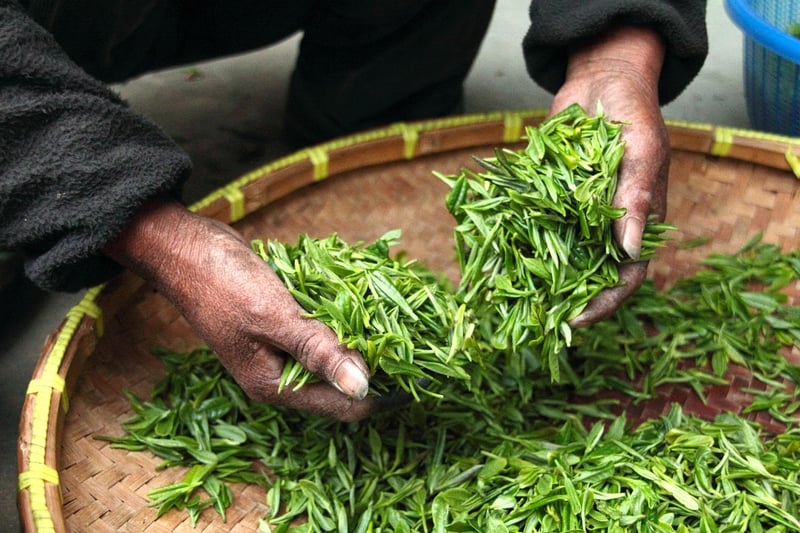Mystical Harvesting