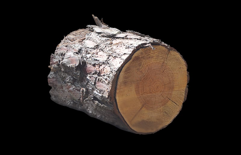 Yggdrasil Tree